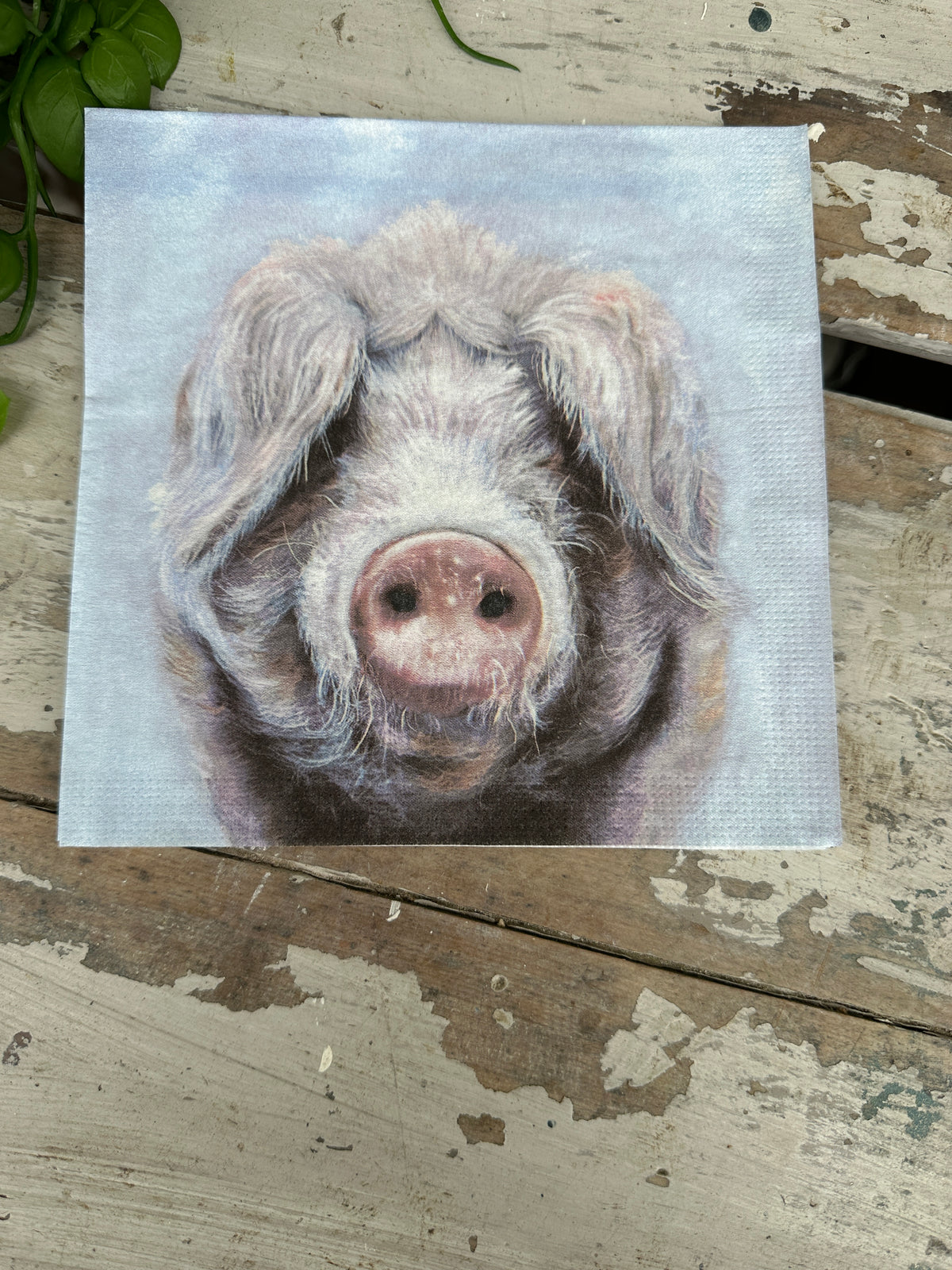 Boris Pig Napkin for Decoupage