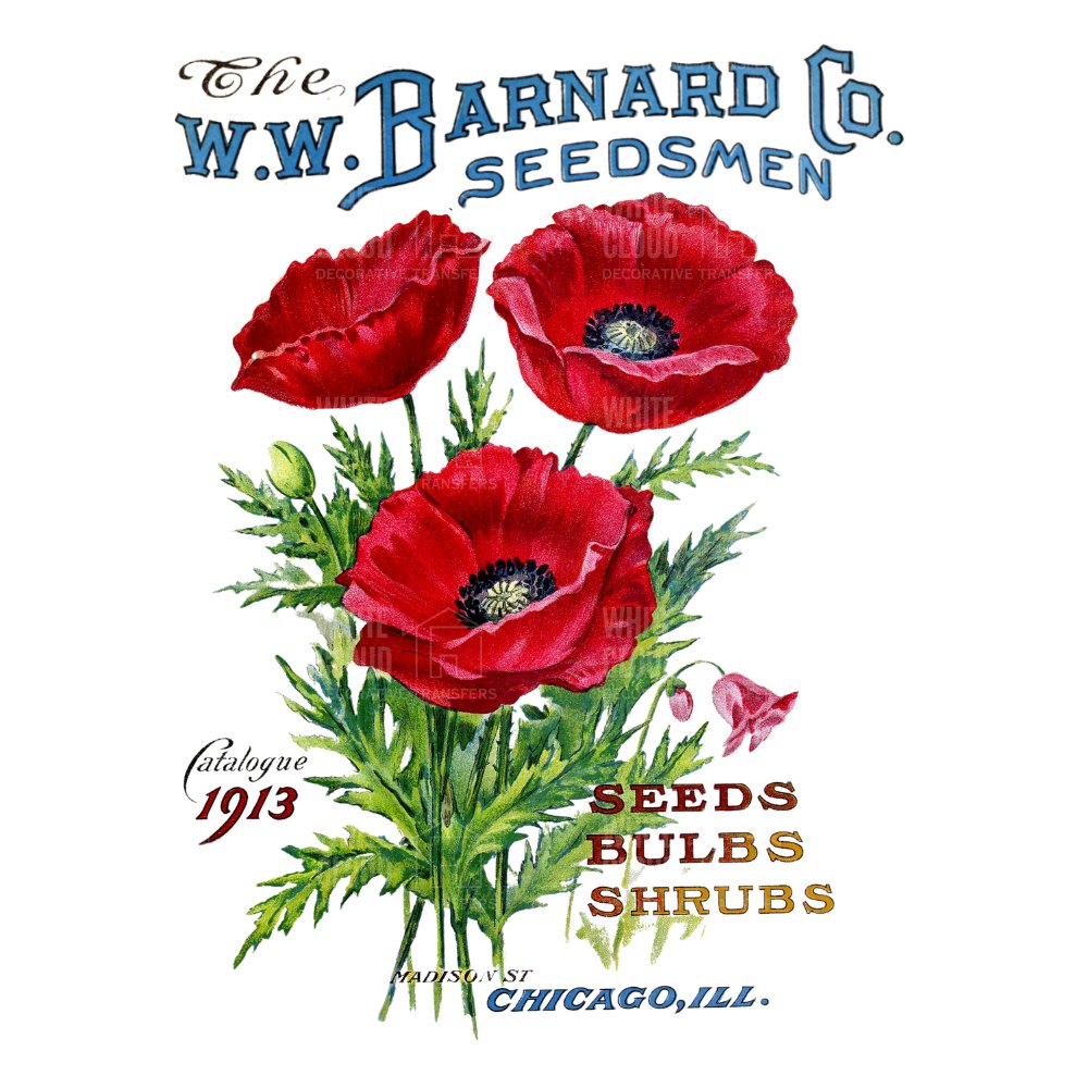 Vintage-style advertisement for W.W. Barnard Co. Seedsmen featuring red poppies and text.