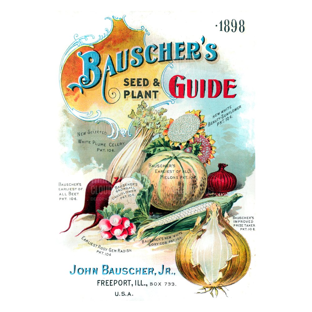 Vintage advertisement for Bauscher's Seed & Plant Guide with illustrations of vegetables and text.