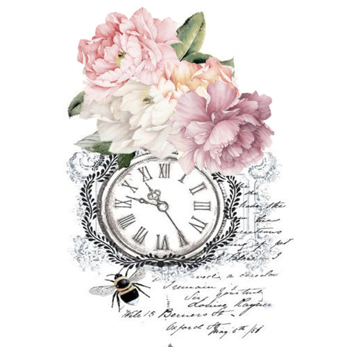 Bee and Script White Cloud Transfer