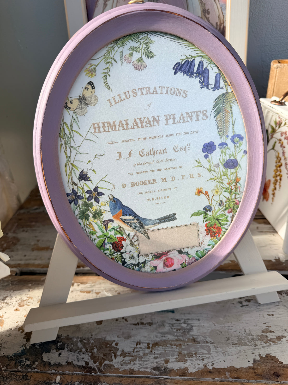 Oval framed bird w typography and flowers