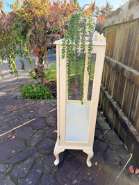 Cabinet with glass doors featuring embossed designs and text. Limestone Cream & White mirrored Display Cabinet with glass shelves