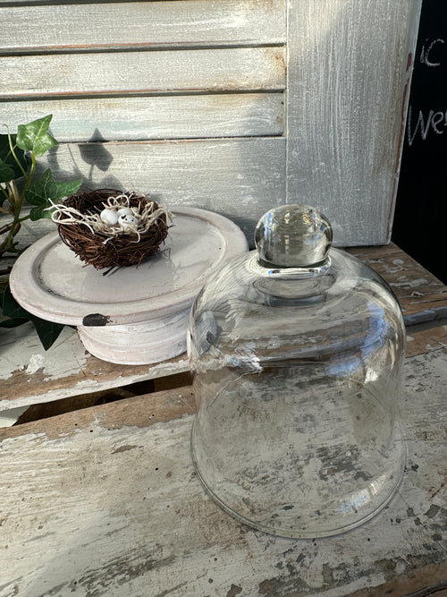 Mini Cloche & stand
