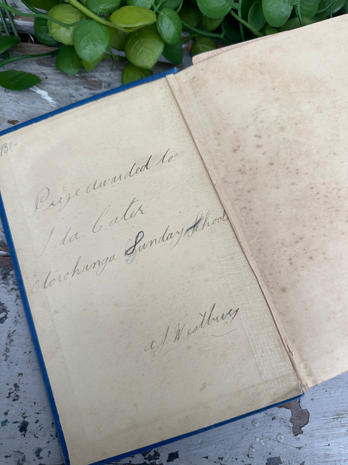 The Power of Kindness Vintage Book Blue