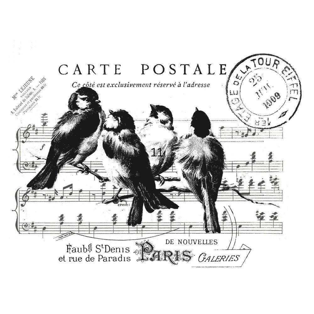 Carte Postale 1 White Cloud Transfer