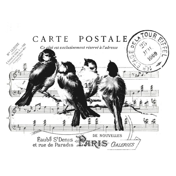 Carte Postale 1 White Cloud Transfer