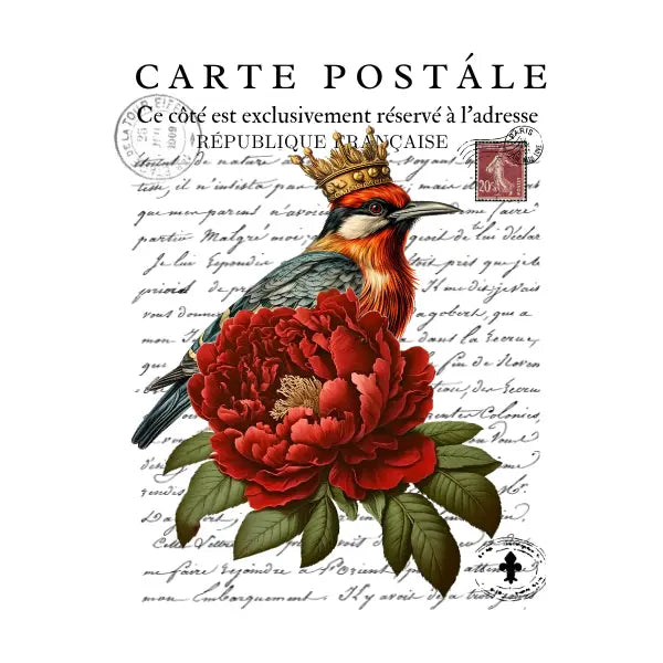 Carte Postale 11 White Cloud Transfer