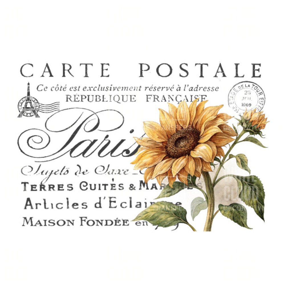 Carte Postale 5 White Cloud Transfer