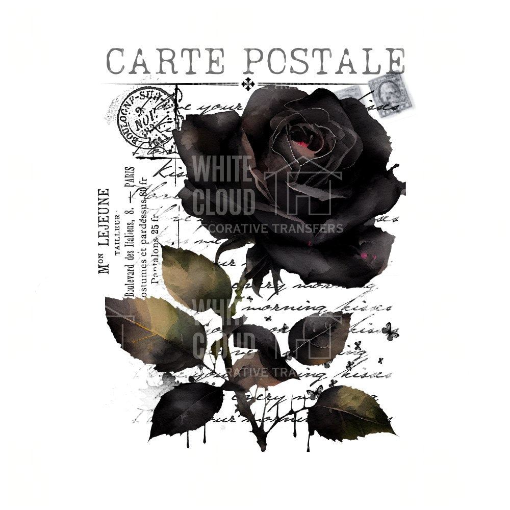 Black rose design with vintage text and stamps on a white background Carte Postale 8 Romantic Goth flowers White Cloud Transfer