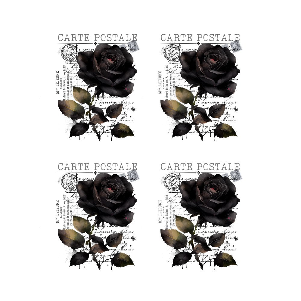 Four black roses with leaves on a white background with 'CARTE POSTALE' text. TRANSFER