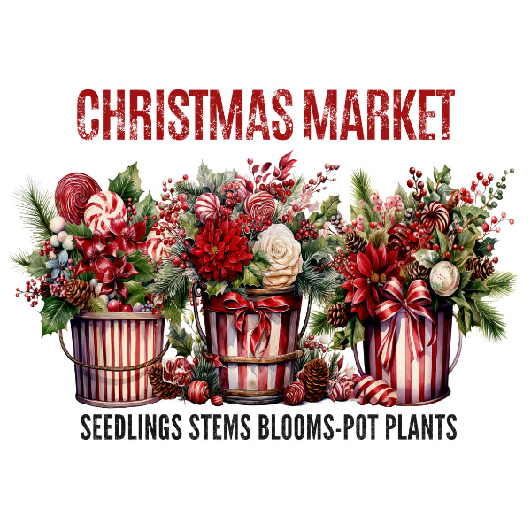 A festive graphic with the words 'CHRISTMAS MARKET' in distressed red lettering above three decorated metal buckets filled with holiday plants, candy canes, pinecones, and red berries, with 'SEEDLINGS STEMS BLOOMS-POT PLANTS' in black text below on a white background.