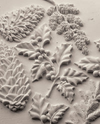 Winter Forage IOD Mould