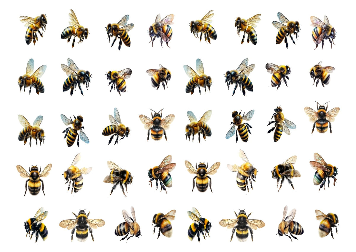 Bumble Bees 2 White Cloud Transfer