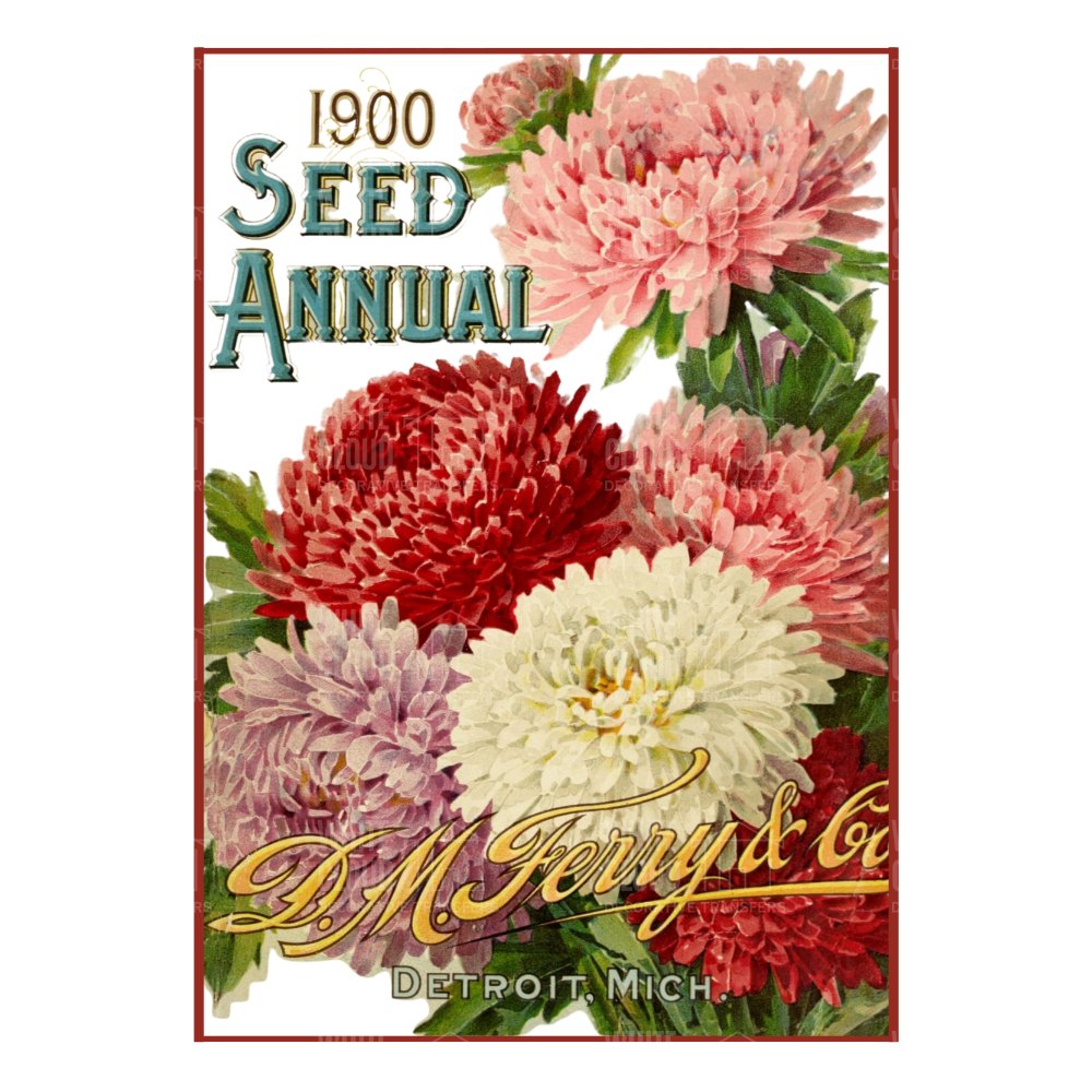 1900 Seed Annual cover with colorful flowers and D.M. Ferry & Co branding