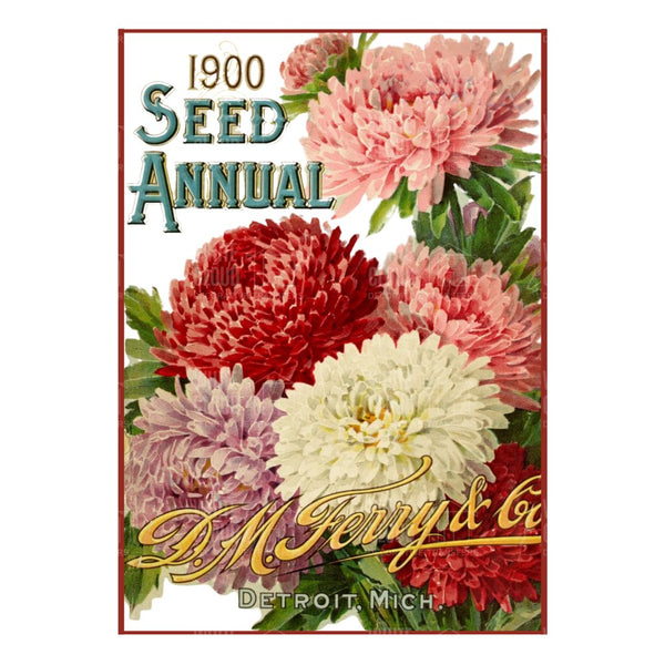 1900 Seed Annual cover with colorful flowers and D.M. Ferry & Co branding