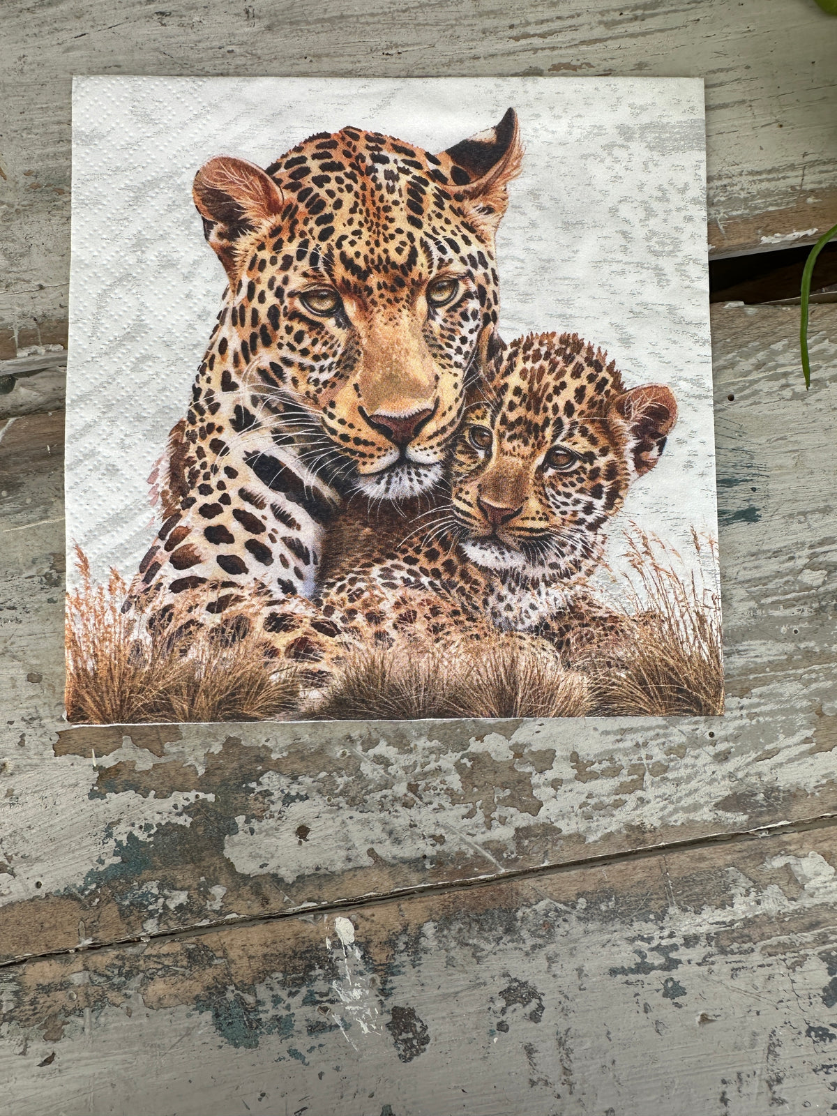 Leopard Mum & Cub Napkin for Decoupage