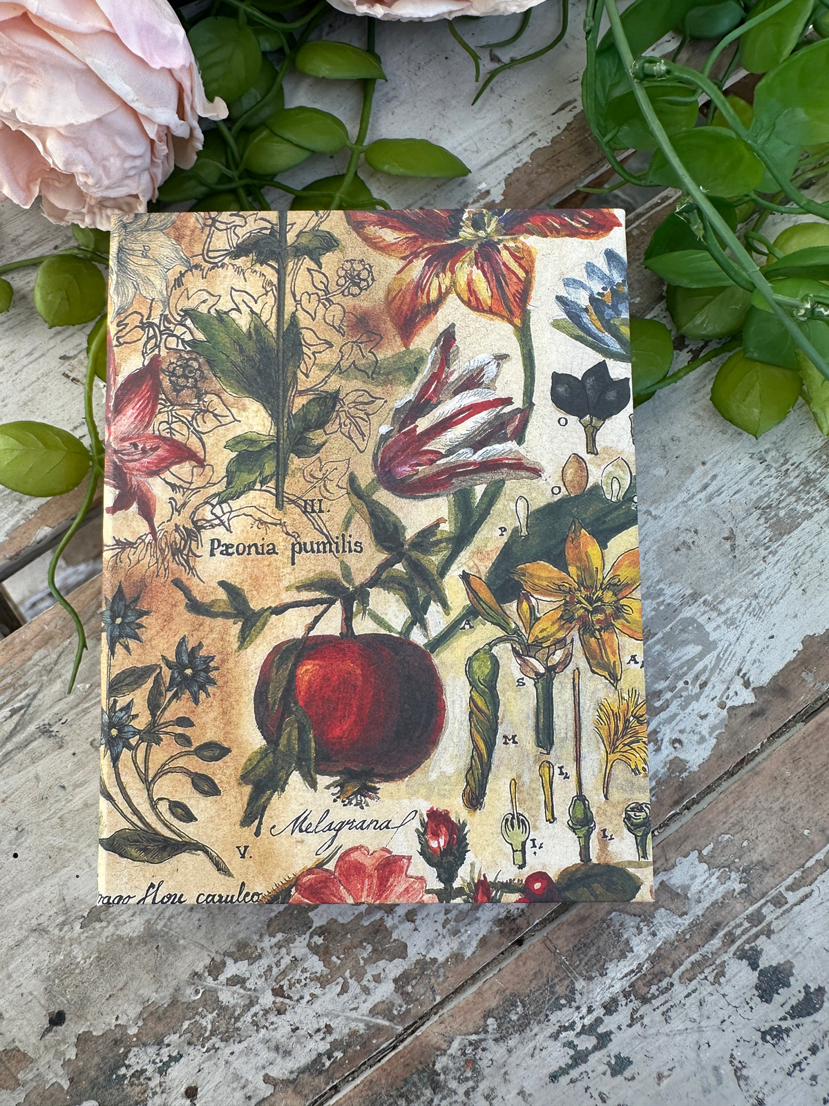 Jotter Pad Nature Morte Floral