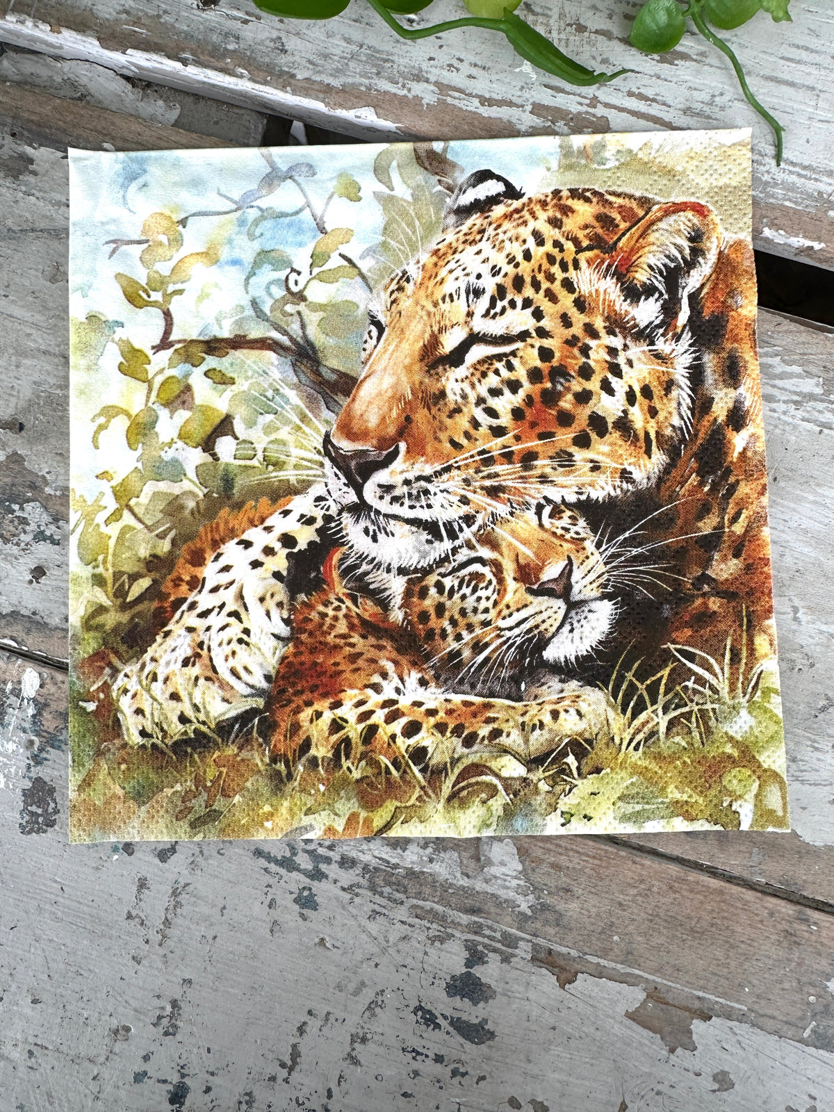 Leopard Family Napkin for Decoupage