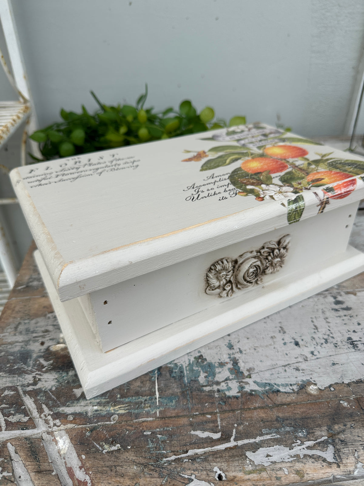 Wooden Box with hinged lid Clementine