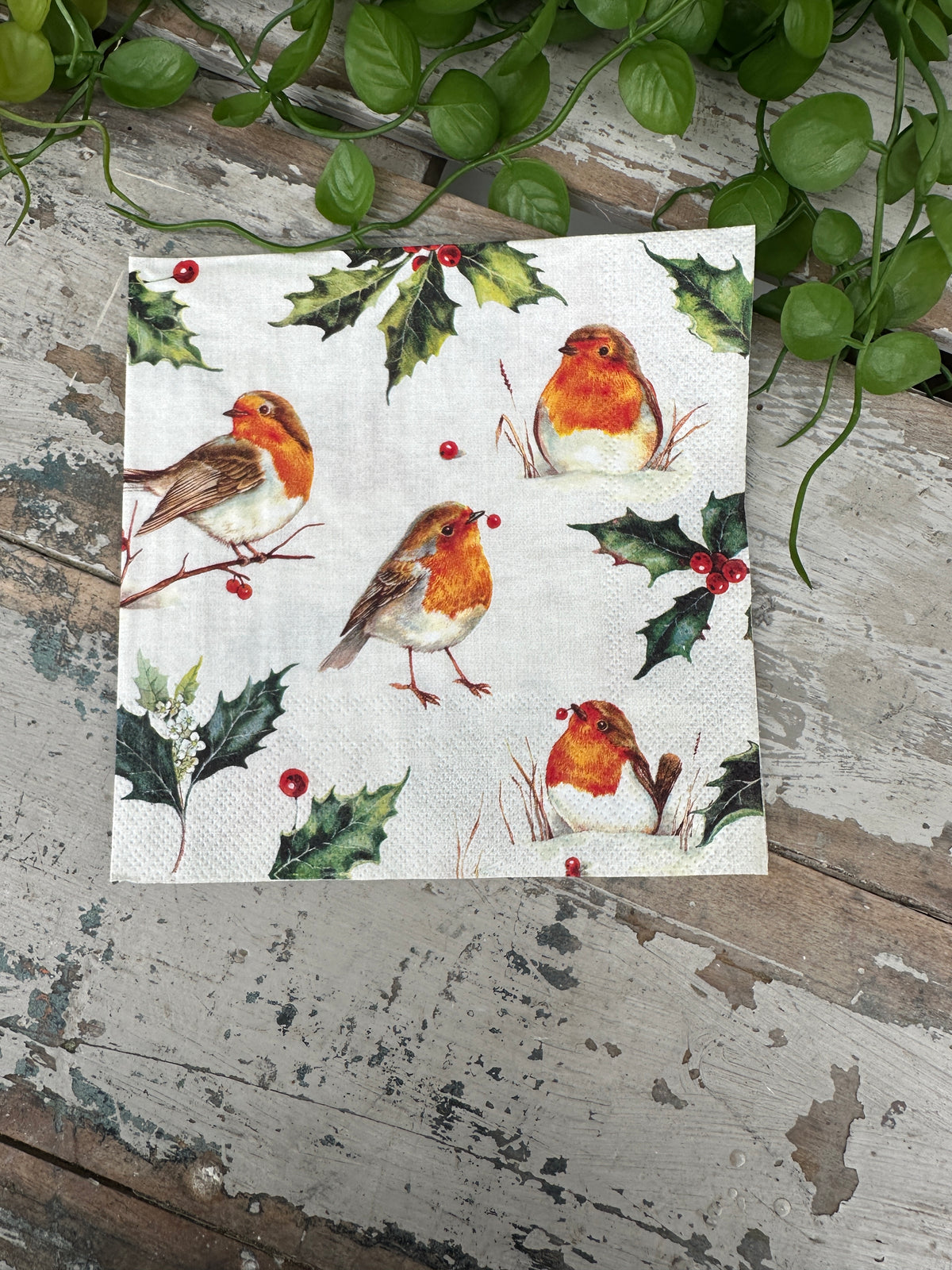 Cream Robin Napkin for Decoupage