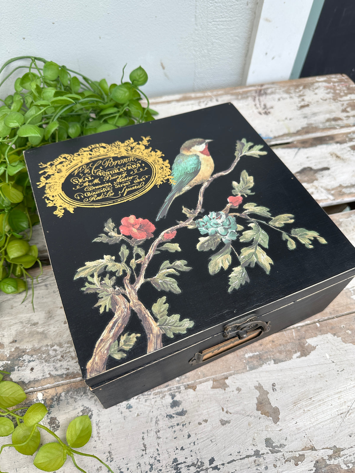 Black keep all box with bird and gold label