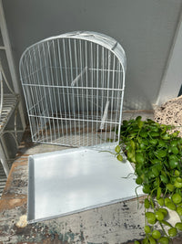 Vintage White Birdcage decor only