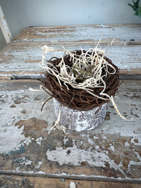Mini Brass bird in nest on wooden log
