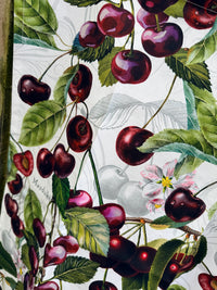 Tea towel Dark Cherry & Script Michel design works