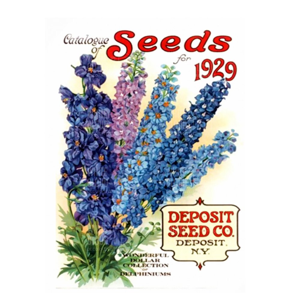 1929 Deposit Seed Co. seed catalog cover with flowers and branding