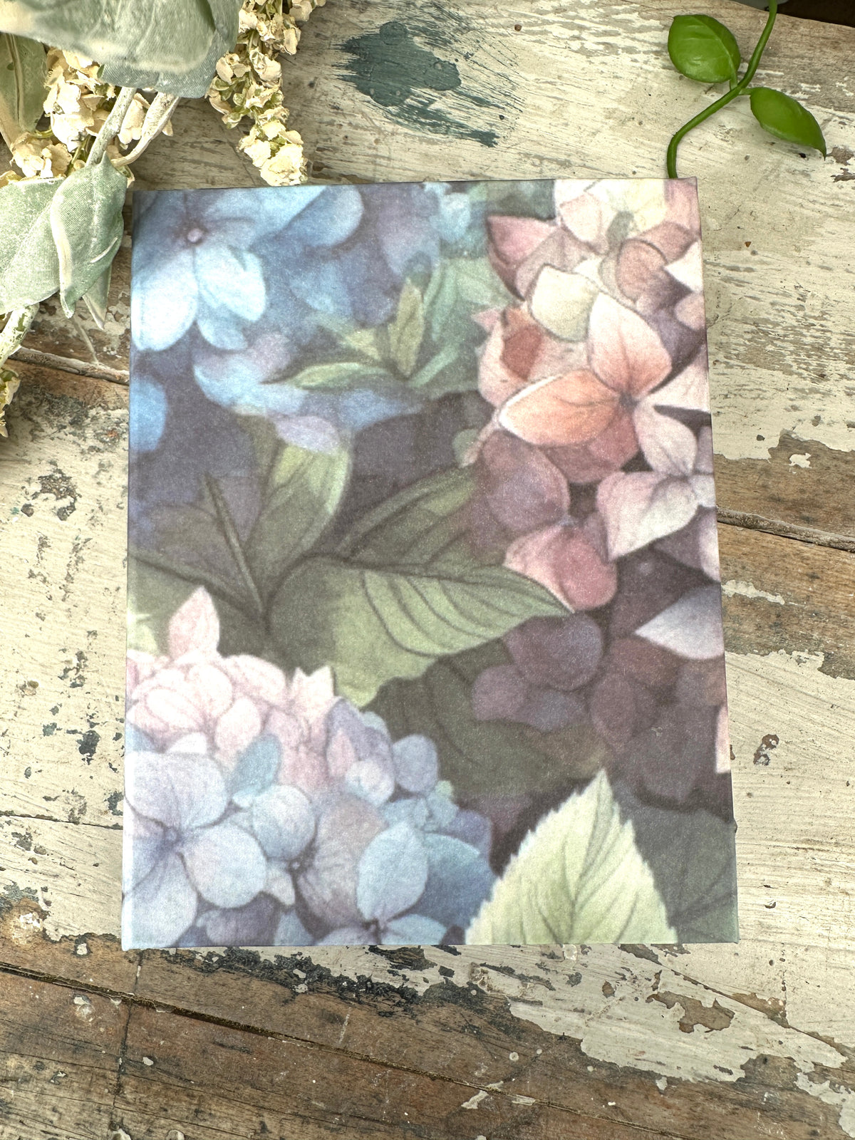Jotter Pad Hydrangea Blooms I
