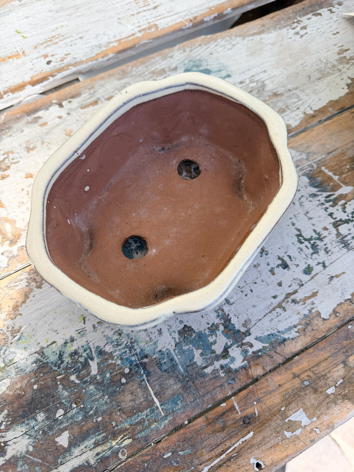 Bonsai Planter in French Cream