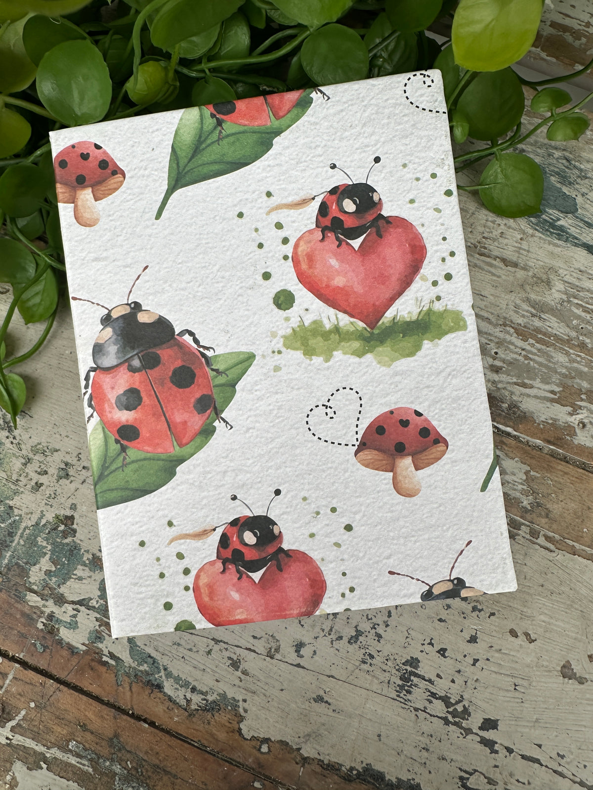 Jotter Pad Lady bird