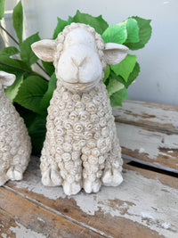 A small decorative sheep figurine with textured curly wool, shown sitting 