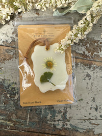 Wax Scent Block hanging Clean Shaven
