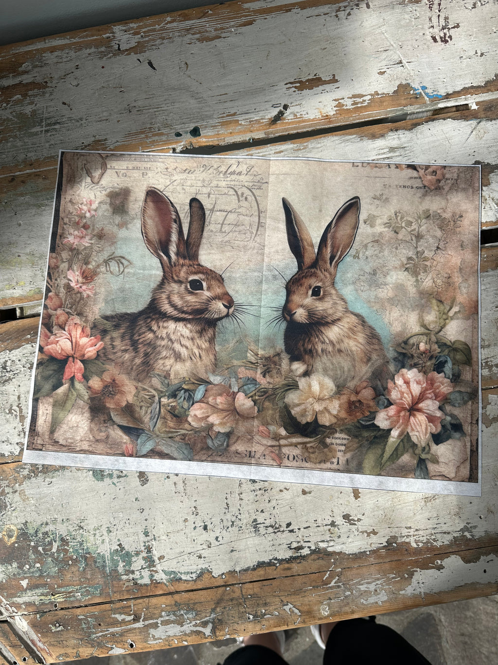 Bunny x 2 facing each other Paper for Decoupage A4