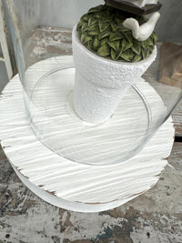 Glass Cloche on solid wood base COLLECT ONLY