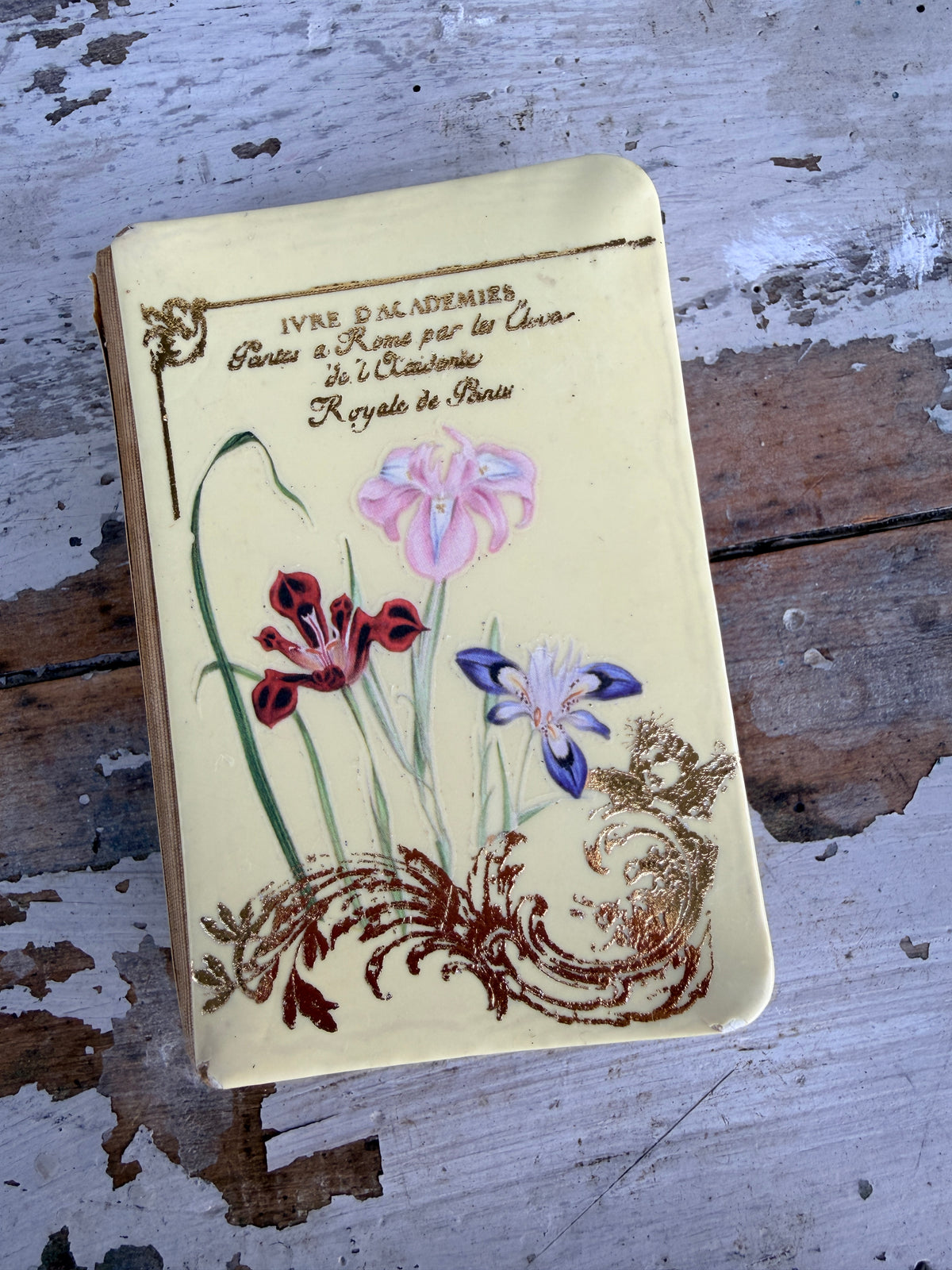 Vintage Book of Common Prayer with plastic cover embellished