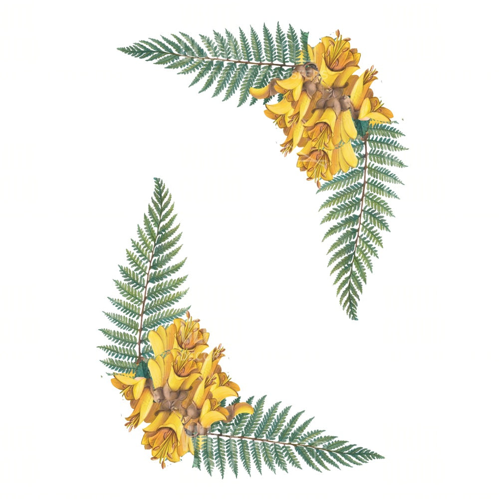 Fern & Kowhai Corners White Cloud Transfer nz native