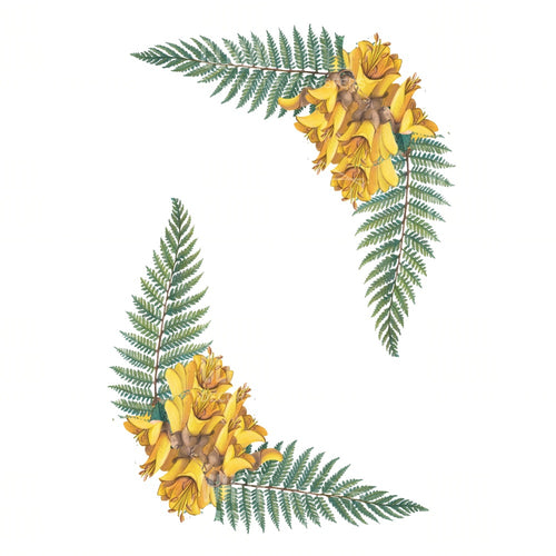 Fern & Kowhai Corners White Cloud Transfer nz native