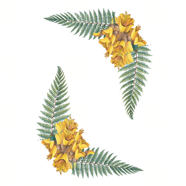 Fern & Kowhai Corners White Cloud Transfer nz native