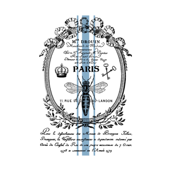 French Bee Paris White Cloud Transfer