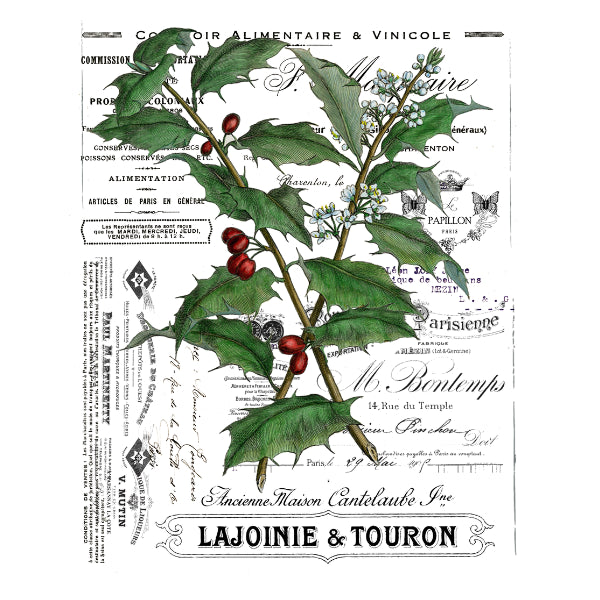 Vintage-style botanical art print featuring a holly branch with green leaves and red berries over a faded French typography background, with the text 'LAJOINIE & TOURON' at the bottom.