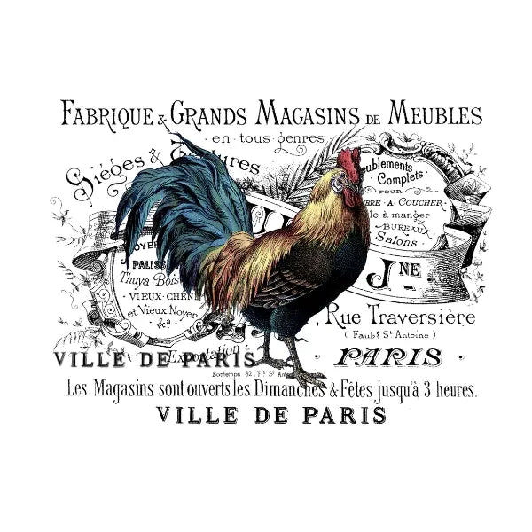 Decorative graphic with a rooster and vintage text on a white background French Rooster White Cloud Transfer