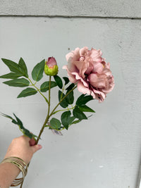 Peony stem Antique Blush