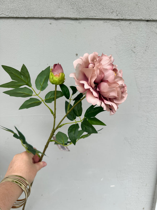 Peony stem Antique Blush