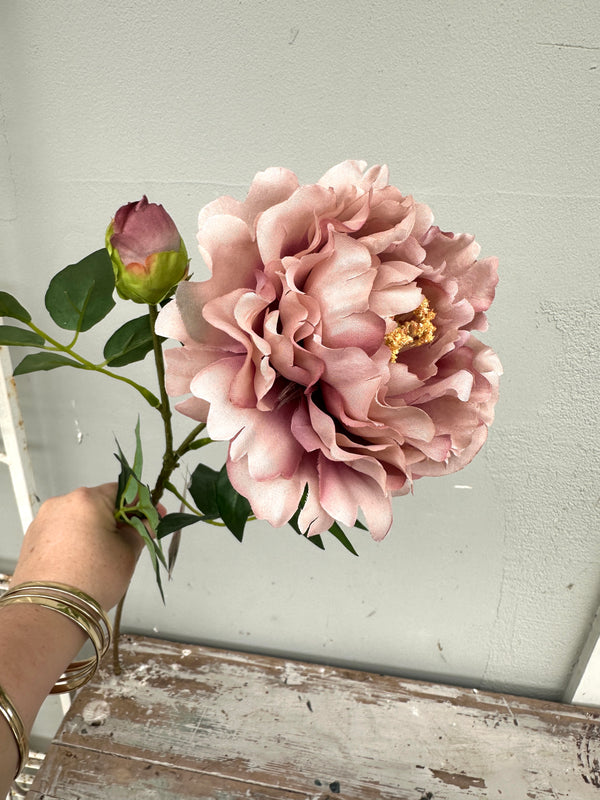 Pink flower with a green bud held by a hand against a light gray wall. Peony stem Antique Blush