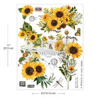 Decorative sheet with sunflowers and nature-themed elements on a white background. H2O transfer Rustic Amber Petals 1 sheet Redesign with Prima