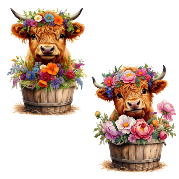 Two decorative illustrations of highland cows with floral arrangements on a white background