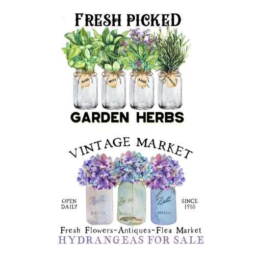 Advertisement for garden herbs and hydrangeas with jars labeled 'Fresh Picked' and 'Vintage Market'. Herbs & Hydrangeas White Cloud Transfer