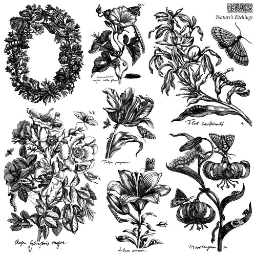 Nature's Etchings IOD Stamp 2 sheets Stamp